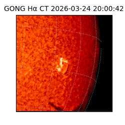 gong - 2026-03-24T20:00:42