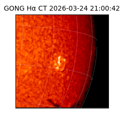 gong - 2026-03-24T21:00:42