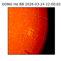 gong - 2026-03-24T22:00:02