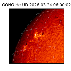 gong - 2026-03-24T06:00:02