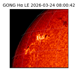 gong - 2026-03-24T08:00:42