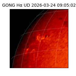 gong - 2026-03-24T09:05:02