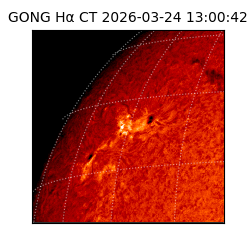 gong - 2026-03-24T13:00:42