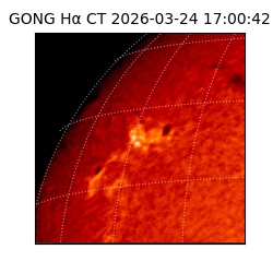 gong - 2026-03-24T17:00:42