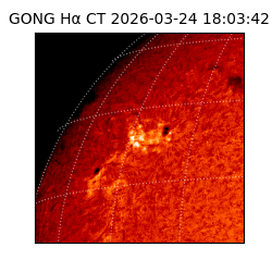 gong - 2026-03-24T18:03:42