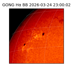 gong - 2026-03-24T23:00:02