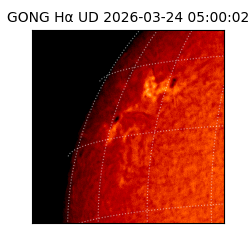 gong - 2026-03-24T05:00:02