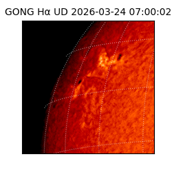 gong - 2026-03-24T07:00:02