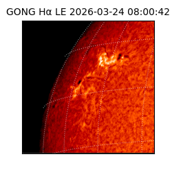 gong - 2026-03-24T08:00:42