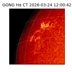 gong - 2026-03-24T12:00:42