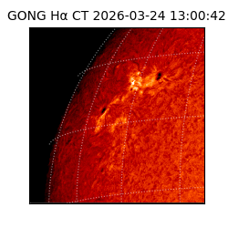 gong - 2026-03-24T13:00:42