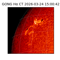 gong - 2026-03-24T15:00:42