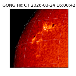 gong - 2026-03-24T16:00:42