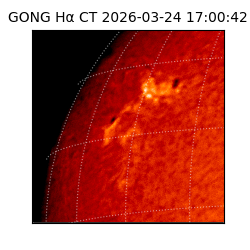 gong - 2026-03-24T17:00:42