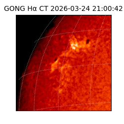 gong - 2026-03-24T21:00:42