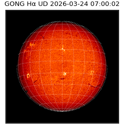 gong - 2026-03-24T07:00:02