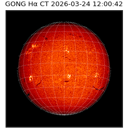 gong - 2026-03-24T12:00:42