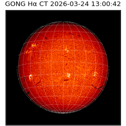 gong - 2026-03-24T13:00:42