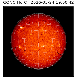 gong - 2026-03-24T19:00:42