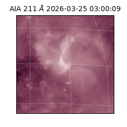 saia - 2026-03-25T03:00:09.632000