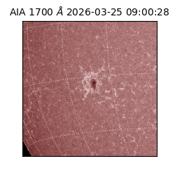 saia - 2026-03-25T09:00:28.446000