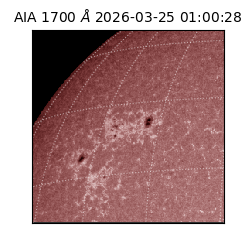 saia - 2026-03-25T01:00:28.446000