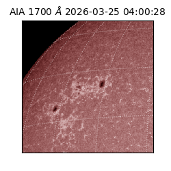 saia - 2026-03-25T04:00:28.446000