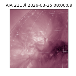 saia - 2026-03-25T08:00:09.623000