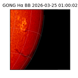 gong - 2026-03-25T01:00:02
