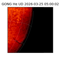 gong - 2026-03-25T05:00:02