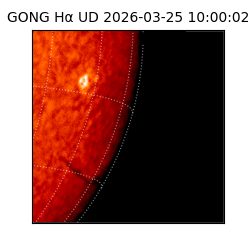 gong - 2026-03-25T10:00:02