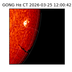 gong - 2026-03-25T12:00:42