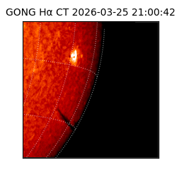 gong - 2026-03-25T21:00:42