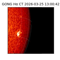 gong - 2026-03-25T13:00:42