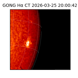 gong - 2026-03-25T20:00:42