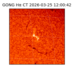 gong - 2026-03-25T12:00:42