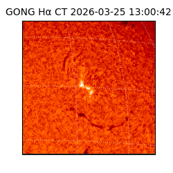 gong - 2026-03-25T13:00:42