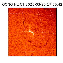 gong - 2026-03-25T17:00:42