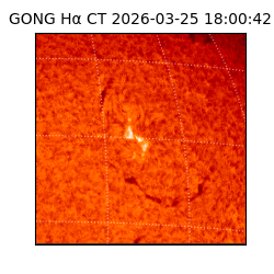 gong - 2026-03-25T18:00:42