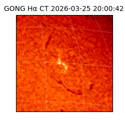 gong - 2026-03-25T20:00:42
