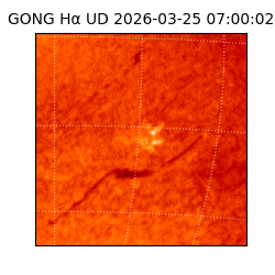 gong - 2026-03-25T07:00:02