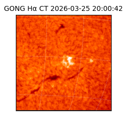 gong - 2026-03-25T20:00:42