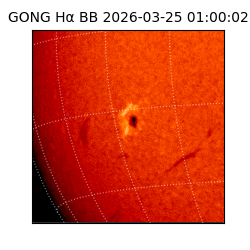 gong - 2026-03-25T01:00:02