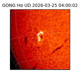 gong - 2026-03-25T04:00:02