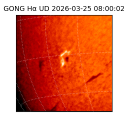 gong - 2026-03-25T08:00:02