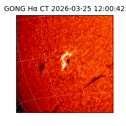 gong - 2026-03-25T12:00:42