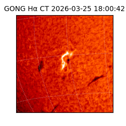 gong - 2026-03-25T18:00:42
