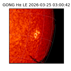 gong - 2026-03-25T03:00:42