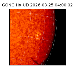 gong - 2026-03-25T04:00:02