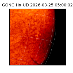 gong - 2026-03-25T05:00:02